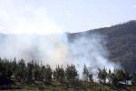 IMG_5223_bajisima